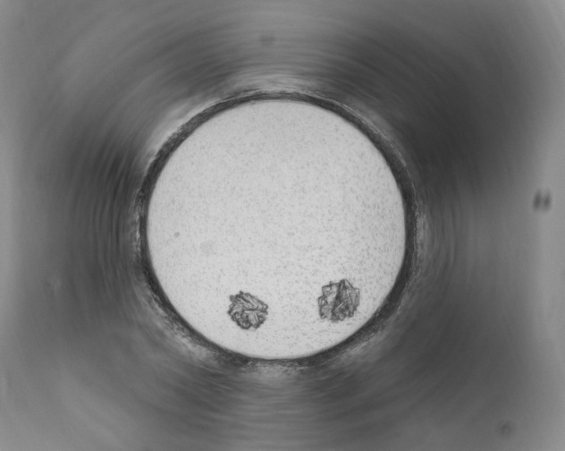 X0000110900782200907301605