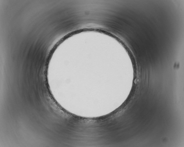 X0000110900783200907301605