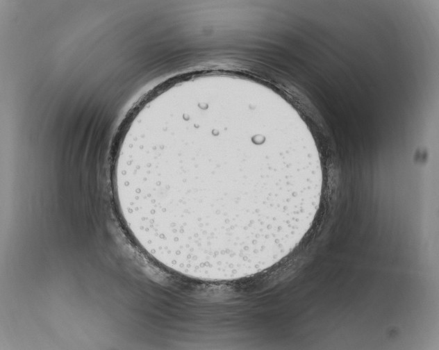 X0000110900784200907301605