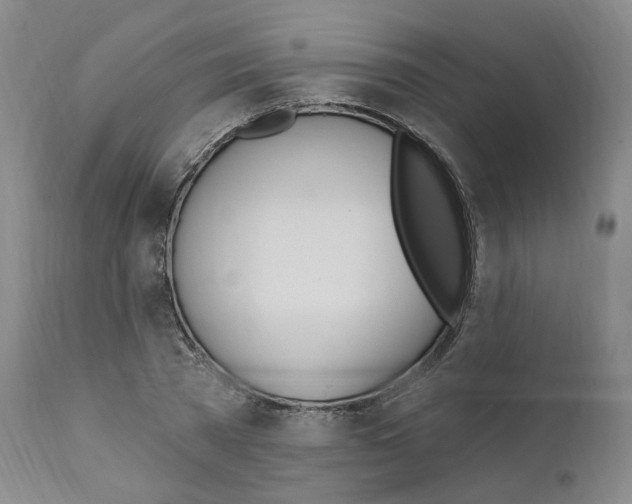 X0000110900785200907301605