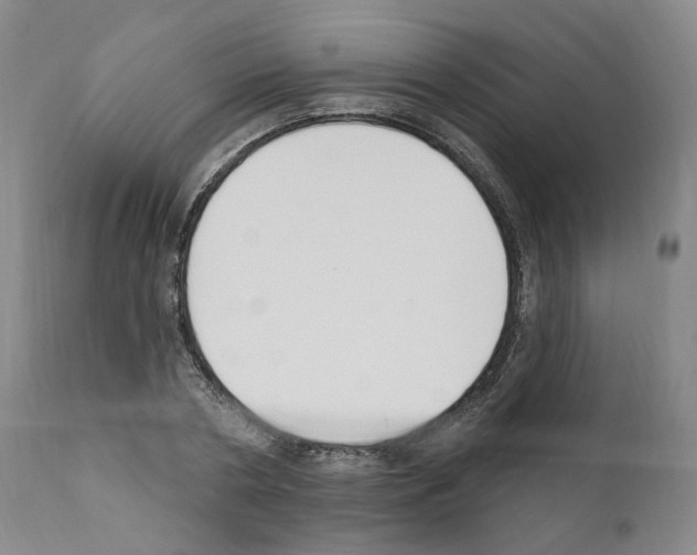 X0000110900786200907301605