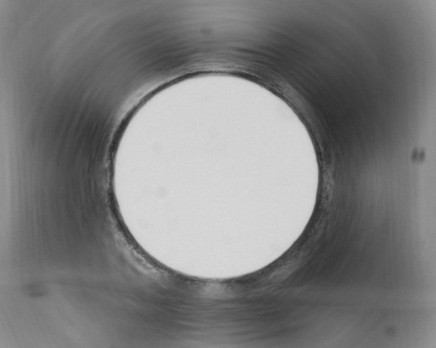 X0000110900787200907301605