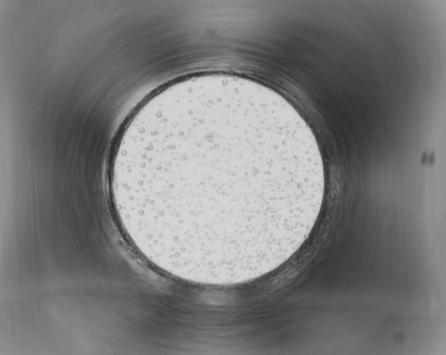 X0000110900788200907301605