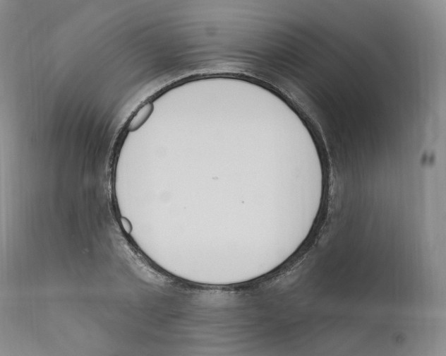 X0000110900789200907301605