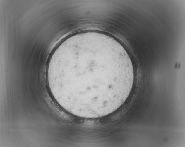 X0000110900790200907301605