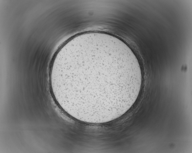 X0000110900792200907301605