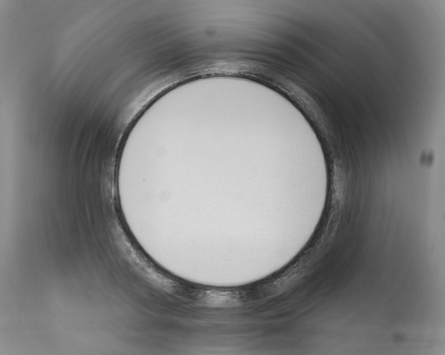 X0000110900794200907301605