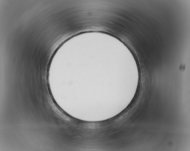 X0000110900797200907301605