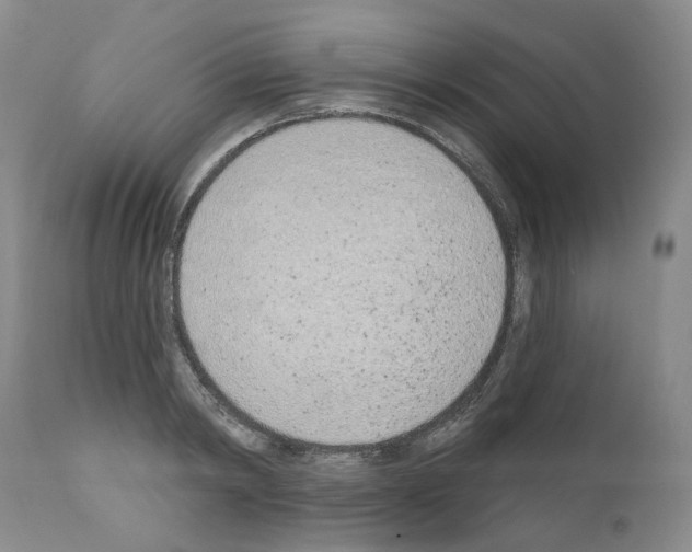 X0000110900798200907301605