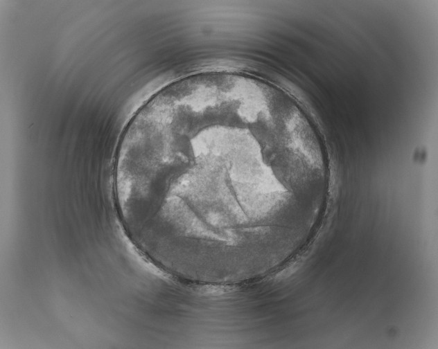 X0000110900802200907301605