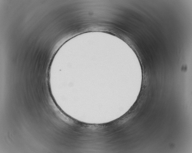 X0000110900803200907301605