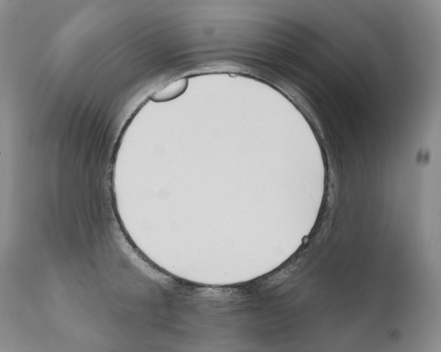 X0000110900805200907301605