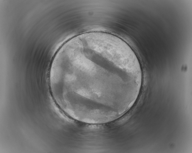 X0000110900806200907301605