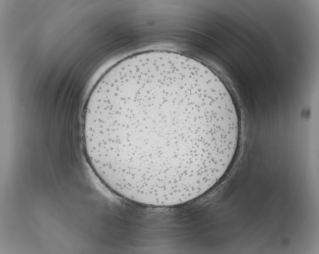 X0000110900808200907301605