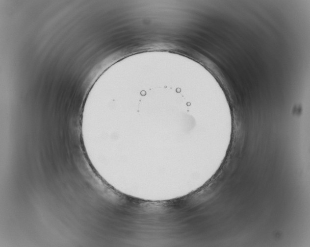 X0000110900810200907301605