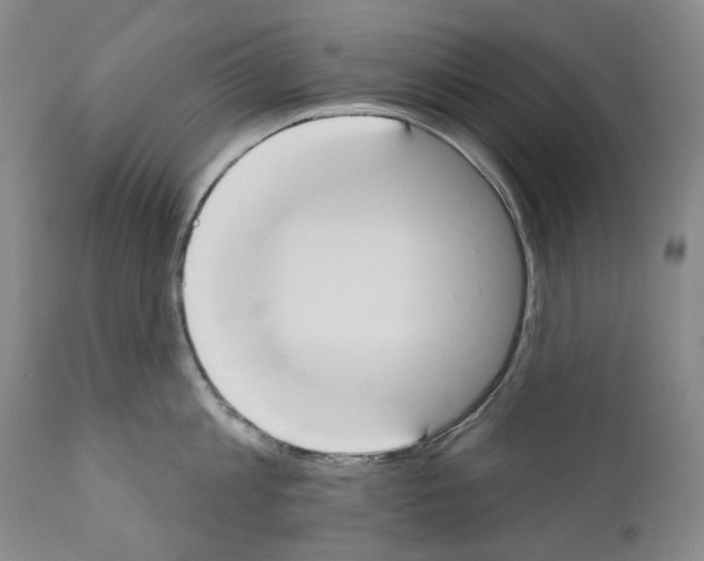 X0000110900813200907301605