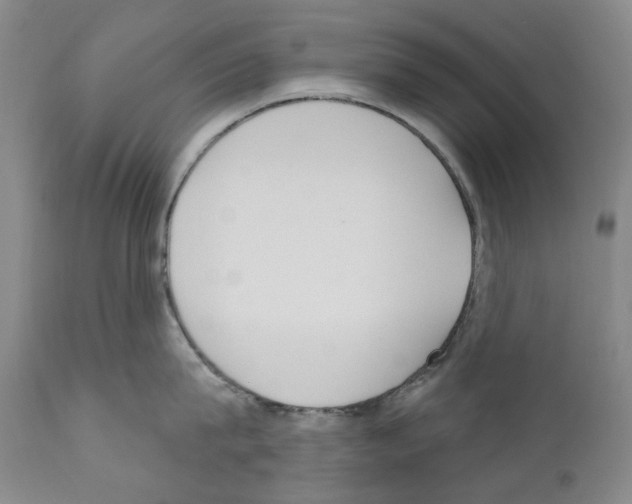 X0000110900815200907301605