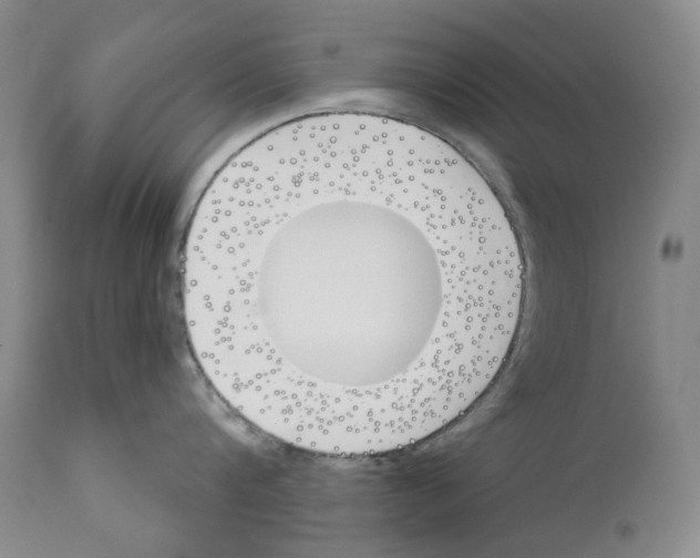 X0000110900816200907301605