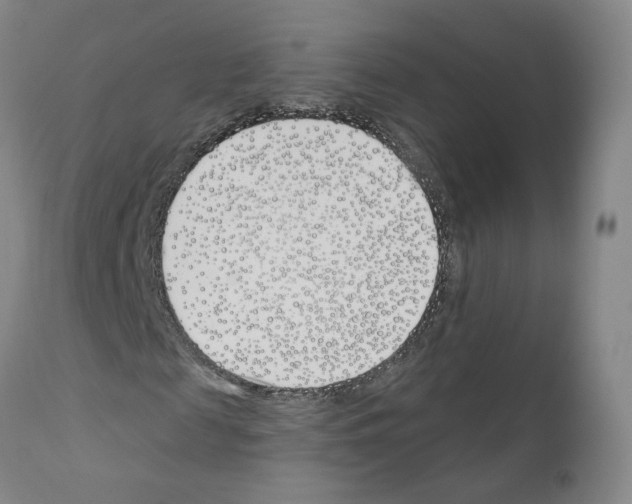 X0000110900817200907301604