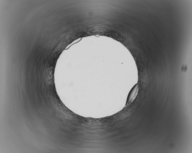 X0000110900818200907301604