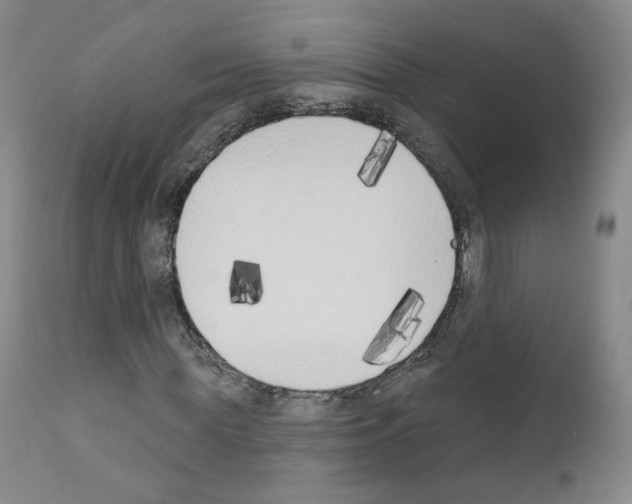 X0000110900819200907301604