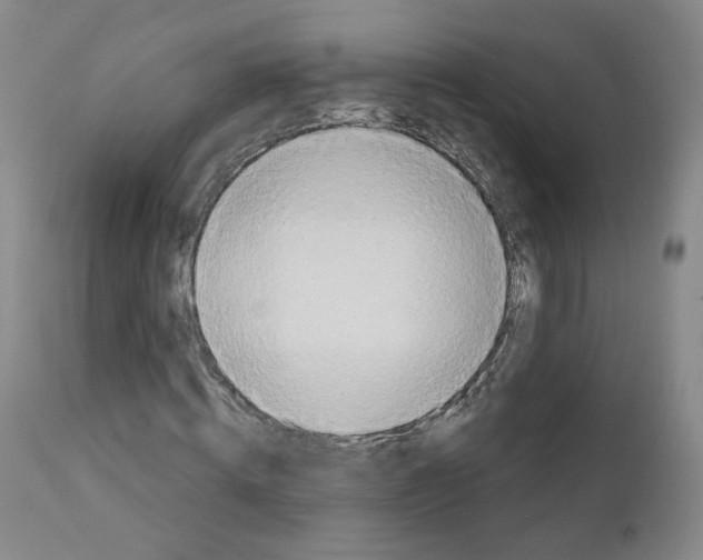 X0000110900820200907301604