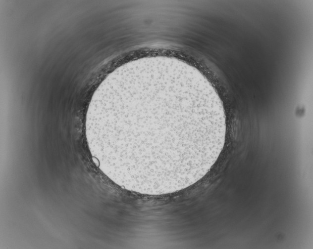 X0000110900821200907301604