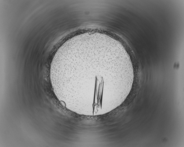 X0000110900823200907301604