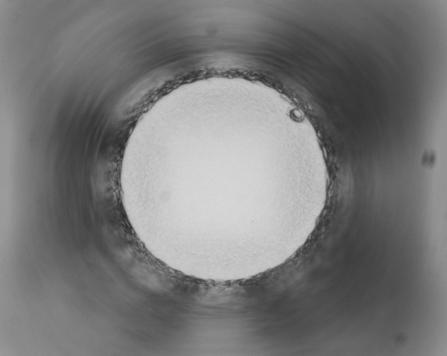 X0000110900824200907301604