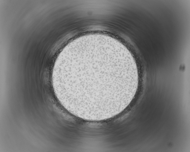 X0000110900825200907301604