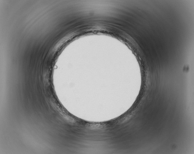 X0000110900826200907301604