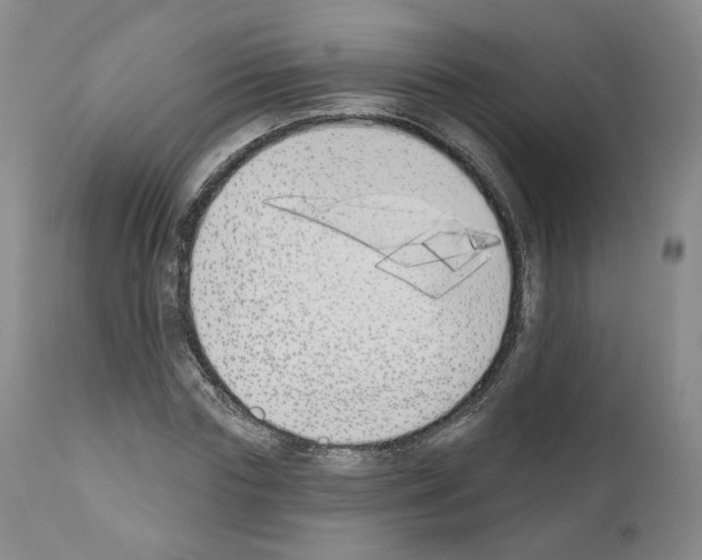 X0000110900827200907301604