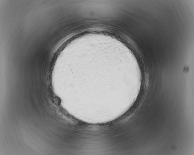 X0000110900829200907301604