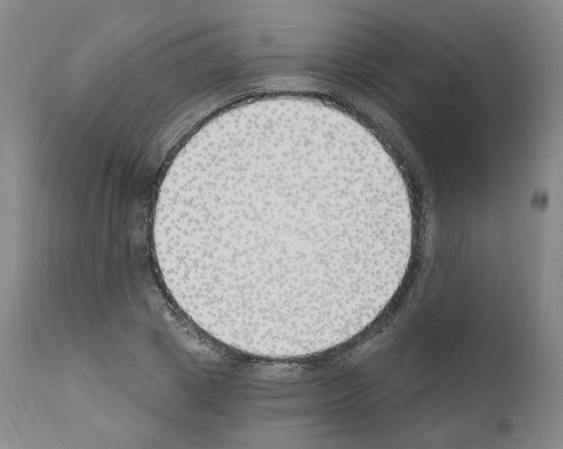 X0000110900833200907301604