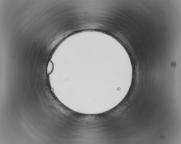 X0000110900834200907301604