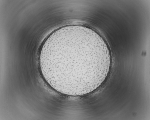 X0000110900835200907301604