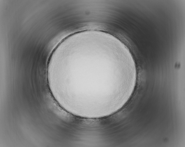 X0000110900836200907301605