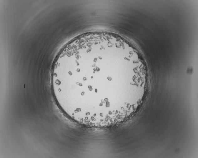 X0000110900839200907301605