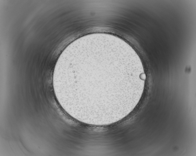 X0000110900841200907301605