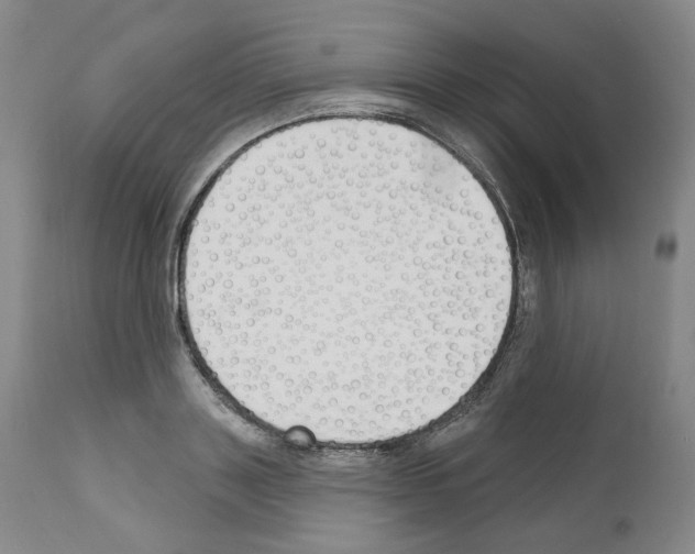 X0000110900843200907301605