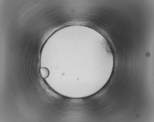 X0000110900844200907301605