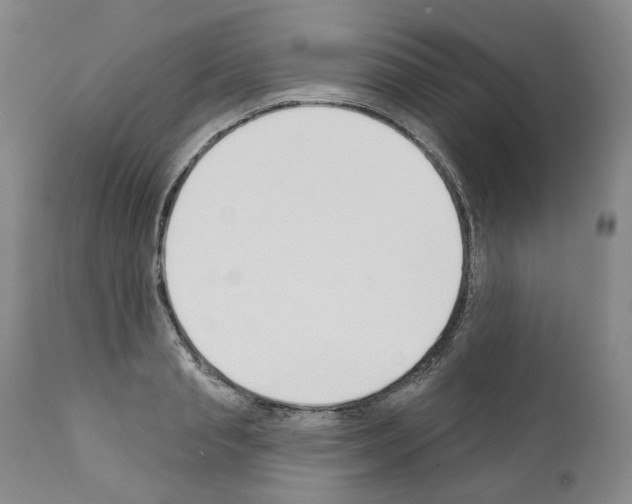 X0000110900845200907301605