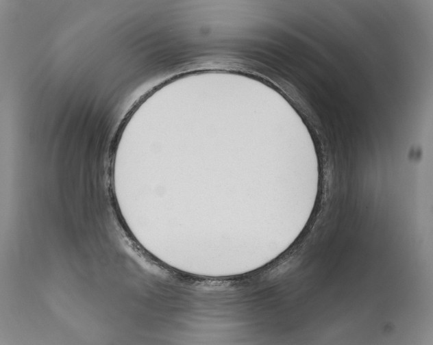 X0000110900846200907301605