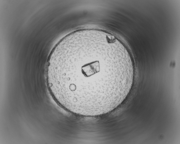 X0000110900847200907301605