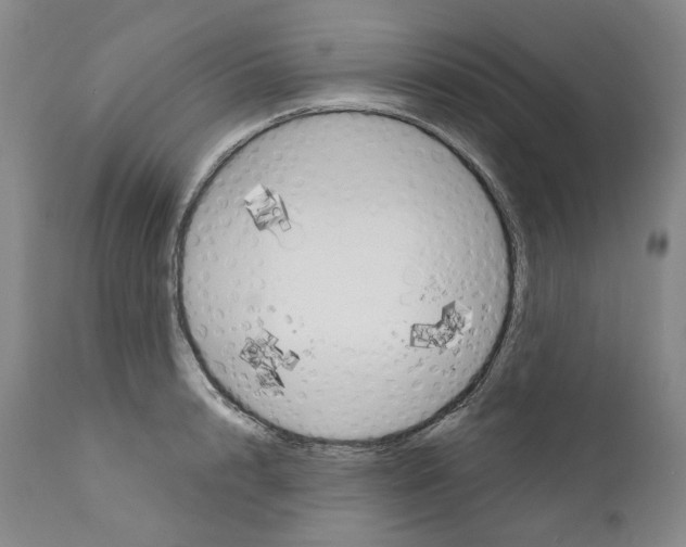 X0000110900848200907301605