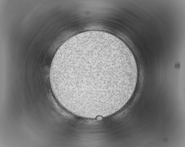 X0000110900849200907301605