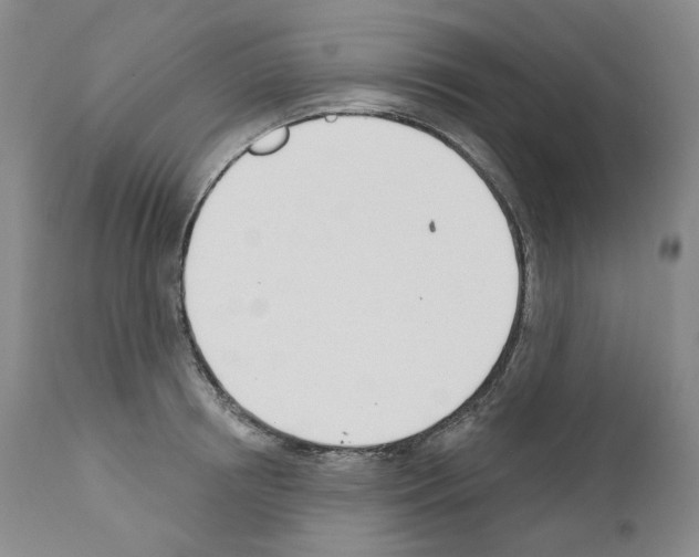 X0000110900850200907301605