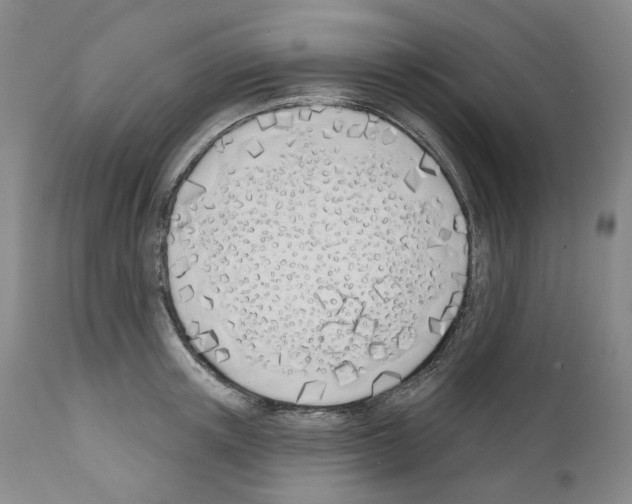 X0000110900851200907301605