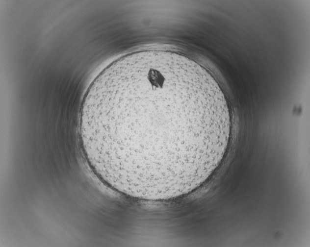 X0000110900852200907301605