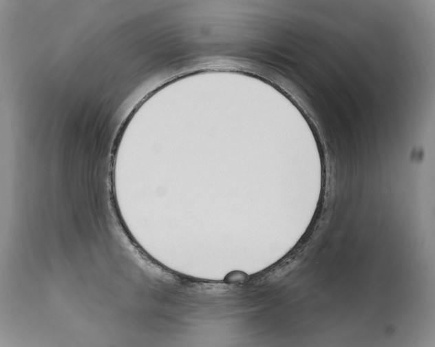 X0000110900853200907301605